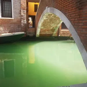 The Secret Garden In The Very Heart Of Apartment